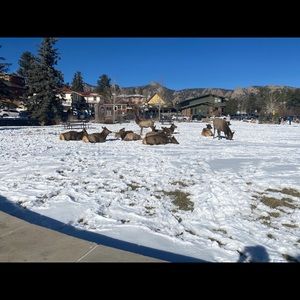 Meet your Posher, Ali